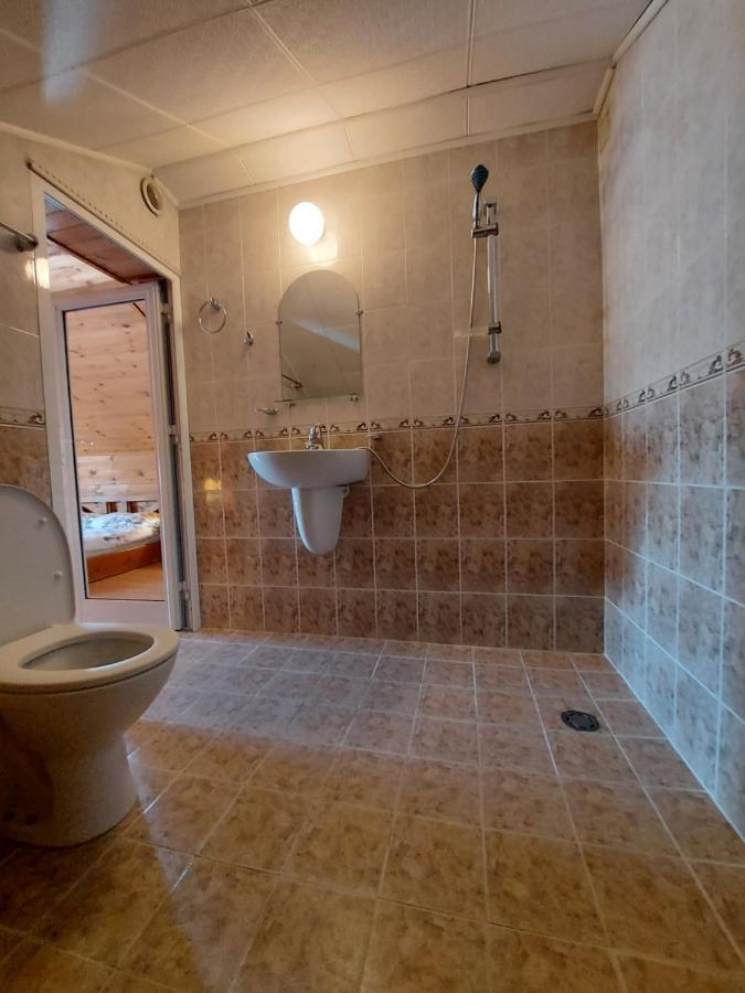Vasi Apartments Dobrinishte Eksteriør billede